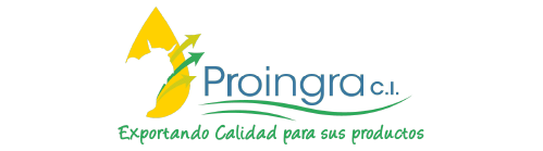 Home 3 cámaras ip profesional